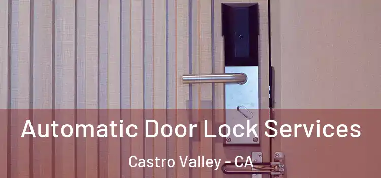 Automatic Door Lock Services Castro Valley - CA