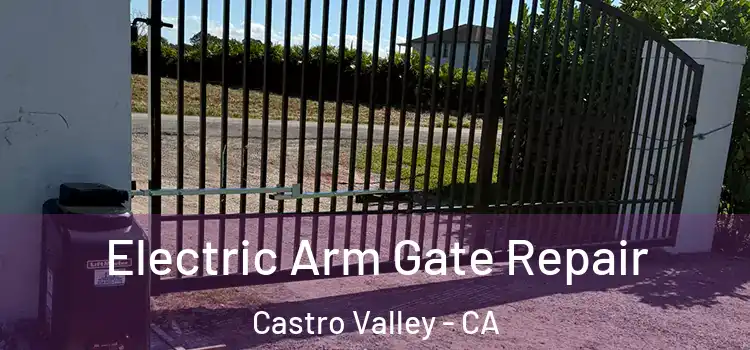 Electric Arm Gate Repair Castro Valley - CA