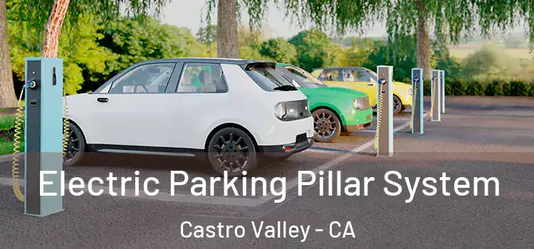 Electric Parking Pillar System Castro Valley - CA