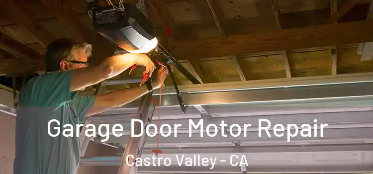  Garage Door Motor Repair Castro Valley - CA