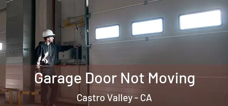  Garage Door Not Moving Castro Valley - CA