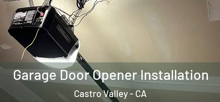  Garage Door Opener Installation Castro Valley - CA