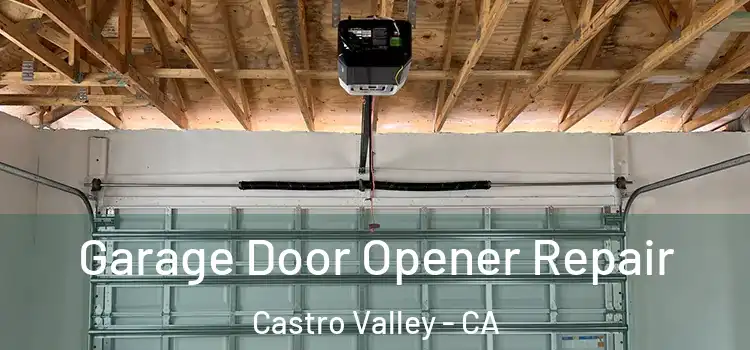  Garage Door Opener Repair Castro Valley - CA