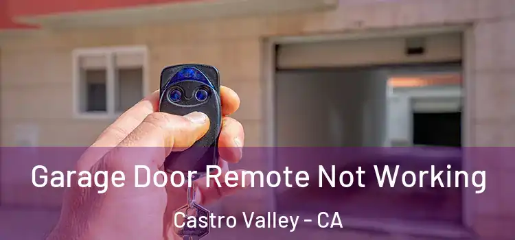  Garage Door Remote Not Working Castro Valley - CA