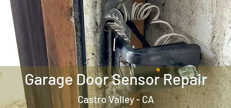 Garage Door Sensor Repair Castro Valley - CA