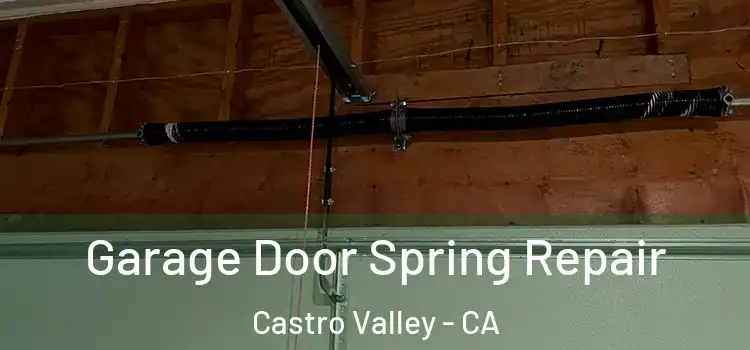  Garage Door Spring Repair Castro Valley - CA