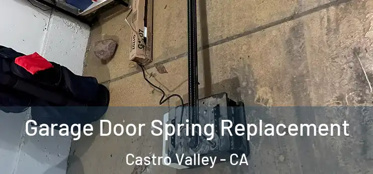  Garage Door Spring Replacement Castro Valley - CA