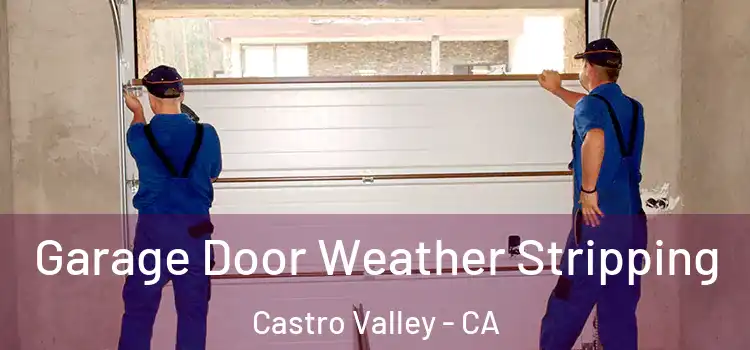  Garage Door Weather Stripping Castro Valley - CA