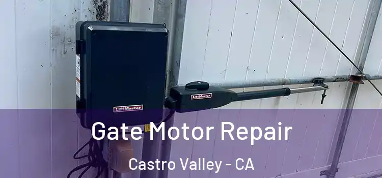 Gate Motor Repair Castro Valley - CA