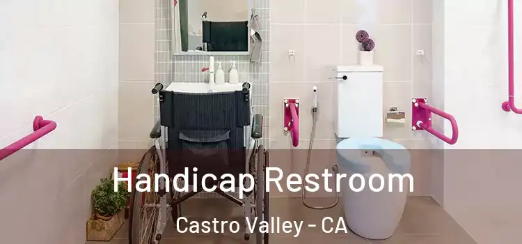 Handicap Restroom Castro Valley - CA
