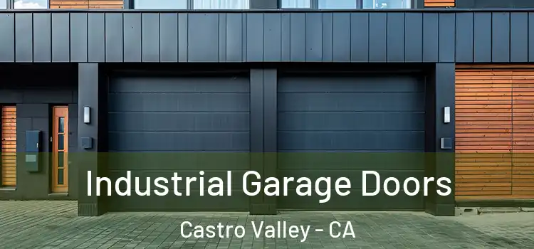  Industrial Garage Doors Castro Valley - CA