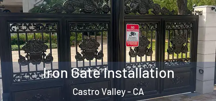 Iron Gate Installation Castro Valley - CA