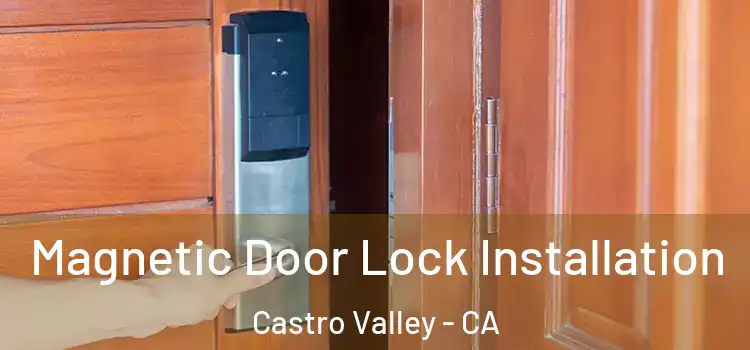  Magnetic Door Lock Installation Castro Valley - CA