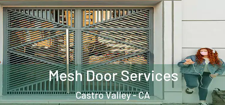 Mesh Door Services Castro Valley - CA