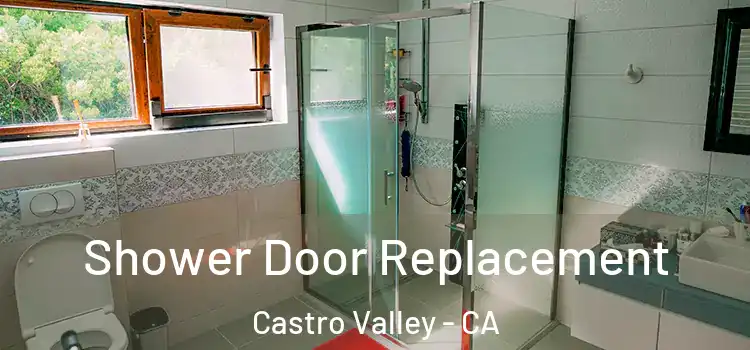 Shower Door Replacement Castro Valley - CA