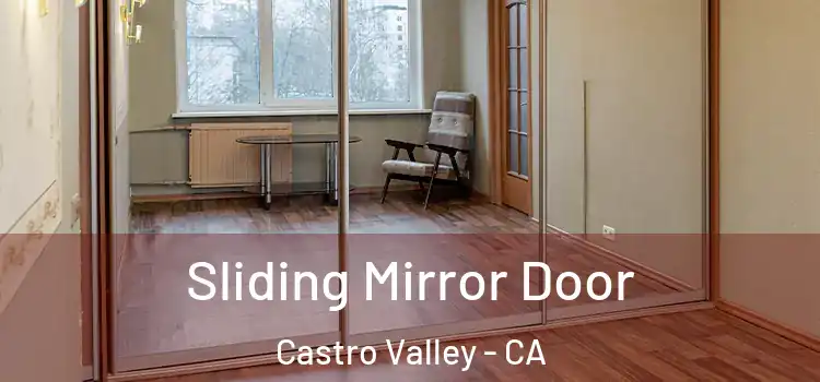  Sliding Mirror Door Castro Valley - CA