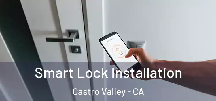 Smart Lock Installation Castro Valley - CA